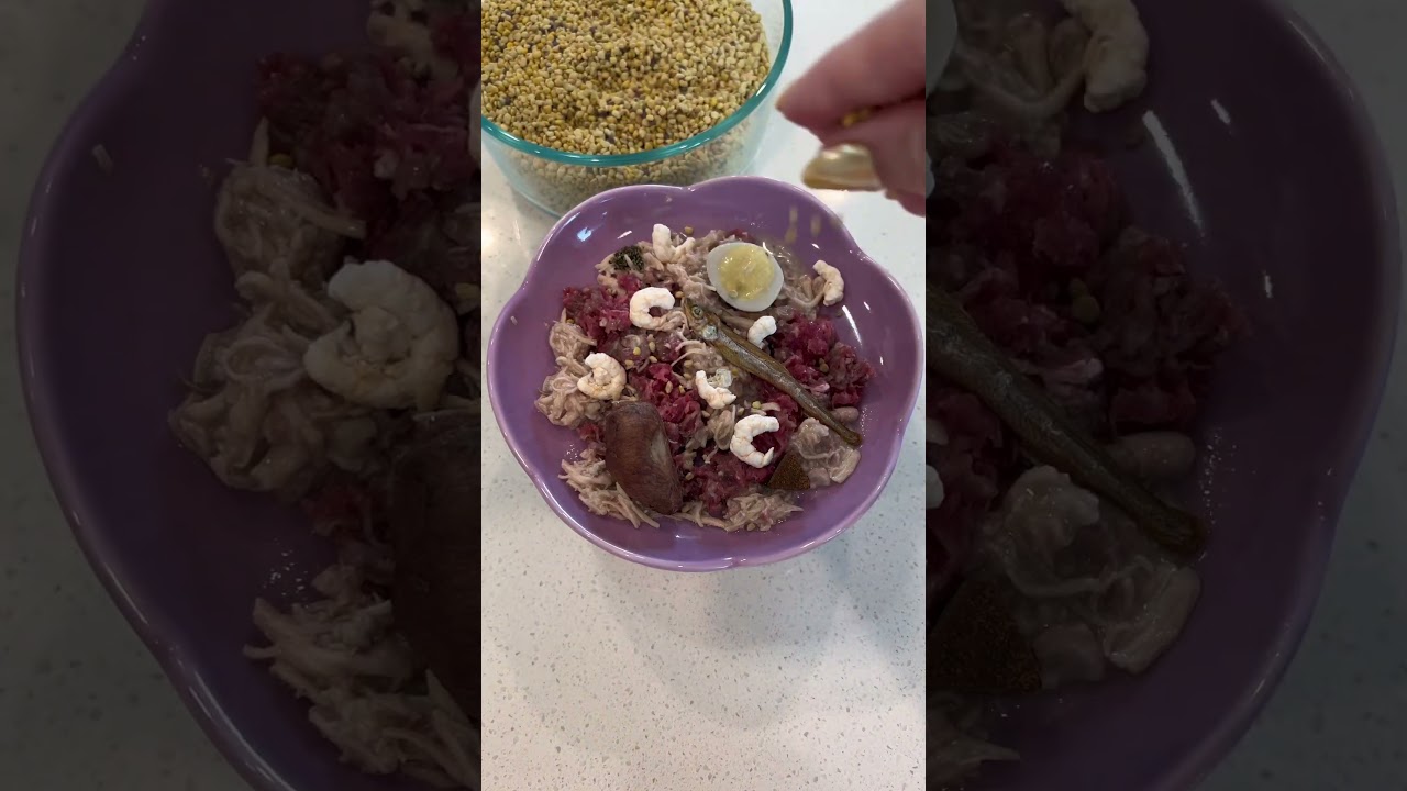 Let’s feed my cat 🐈‍⬛ 😋 