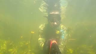 Подводная Охота  на малых реках!Охота на Жереха открытие сезона