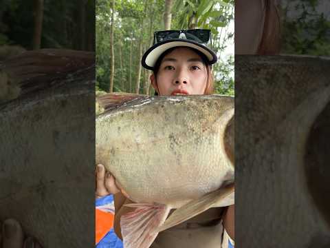 Hồ Đá Bàn lên cá mè hoa #vyhanfishing #caucavatrainghiem #caucathiennhien #cauca #fishing
