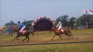Lomba Pacuan Kuda Semarang 2016