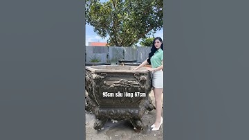 Báo giá và kích thước bộ lục giác bầu 130 cho anh em xuống tiền