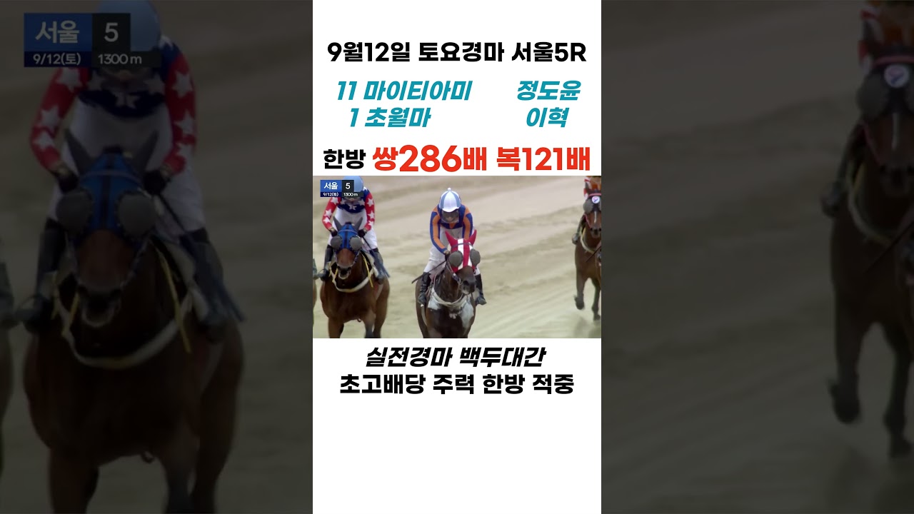 9월12일 토요경마 서울5경주! "286배" 121배"! 주력 "한방 적중"!