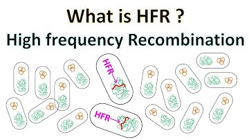 HFR | High Frequency Recombination