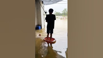 Cá Lớn - Mưa lũ câu cá ngay ngoài đường 🤣 #khacthuyvlogg