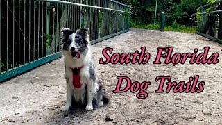 Exploring South Florida Dog Trails! (Robbins Park)