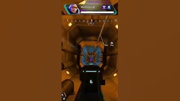 catching bugs is fun