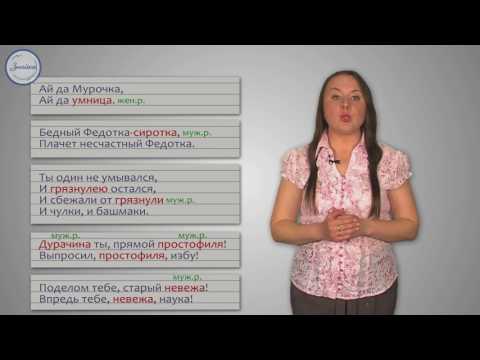 Русский 5 Имена существительные общего рода