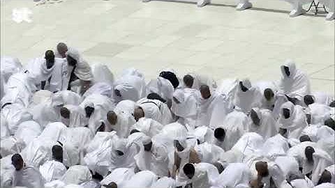 تلاوة ندية من سورة إبراهيم 35-37 و قريش للشيخ أ.د. #عبدالرحمن_السديس صلاة الجمعة 11 ذو القعدة 1446هـ