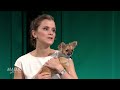 Hjärnforskaren: Så påverkas du av att ha hund - Malou Efter tio (TV4)