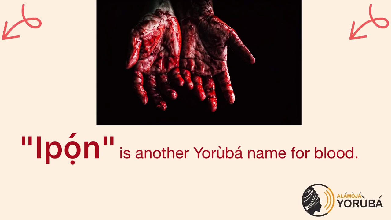 Yorùbá Fun Facts Did you know? YouTube