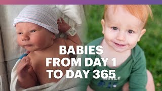 From cries and crawls to their first big step, baby's year is filled
with excitement. let's see how these eight babies the what expect
communit...