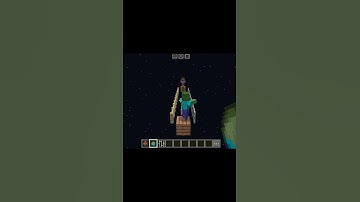 Minecraft Wandering Trader VS Zombie IQ Test