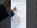 #shorts #Platyhelminthes simplified NEET11RH/12TH/CUET/B.SC