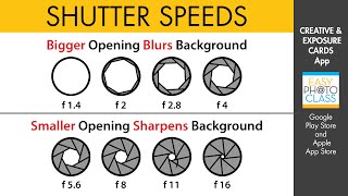 SHUTTER SPEEDS QUICK REFERENCE CARDS - See how faster shutter speeds help stop action. screenshot 4