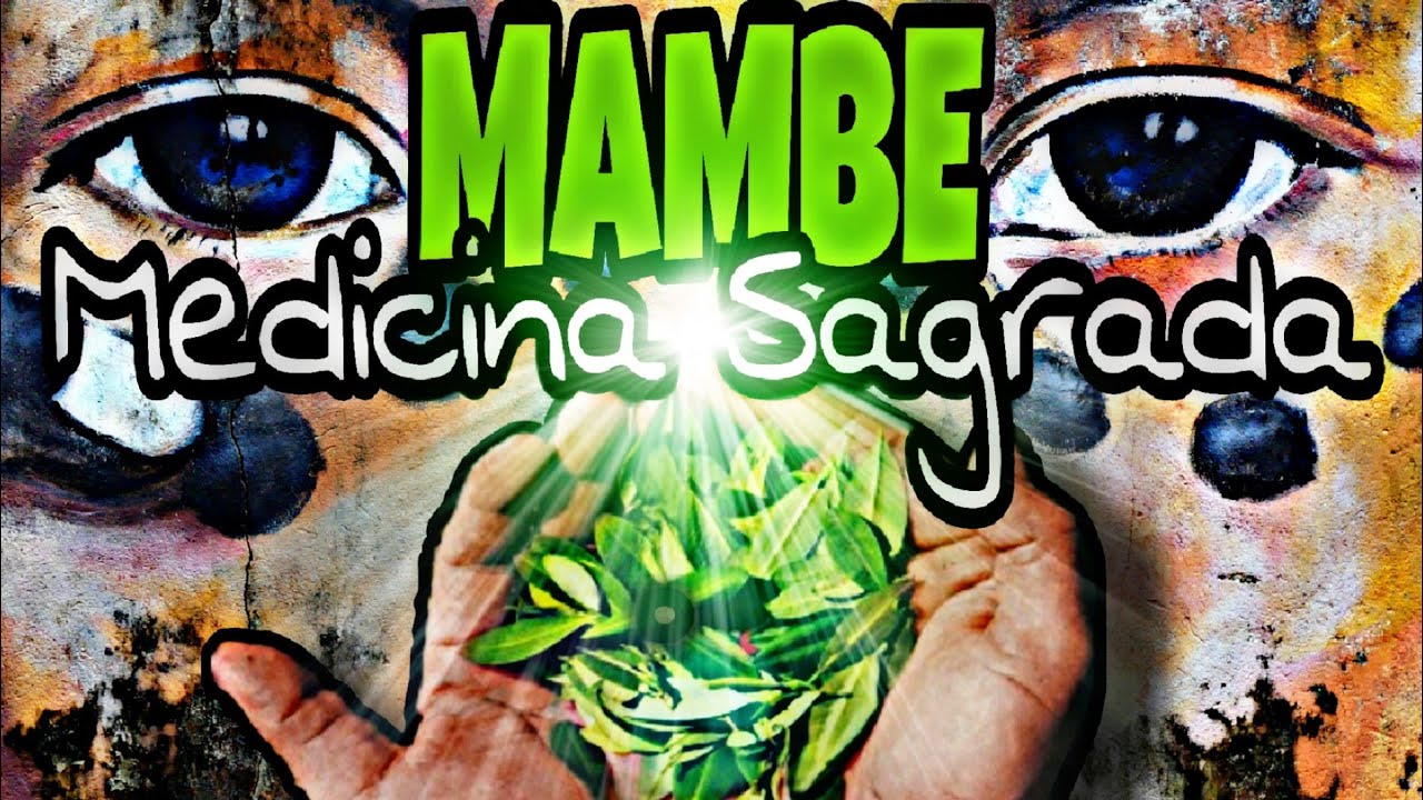 MAMBE, Medicina Sagrada AMAZONICA 🌿 La planta de poder llamada COCA | comunidad Bora