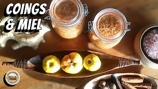 Coings Et Gingembre Lactofermentes Au Miel - Recette Et Bienfaits Sante