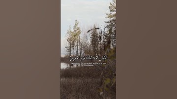 # الشيخ محمد أيوب # سورة الزخرف (آية) 36