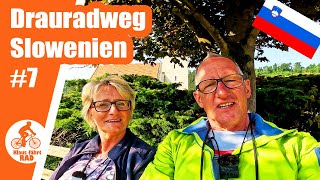 Auf dem Drauradweg in Slowenien - von Lavamünd nach Maribor - Etappe 7