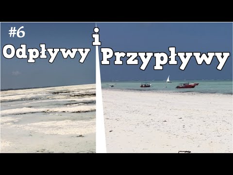 Wideo: Nad przypływami oceanu?