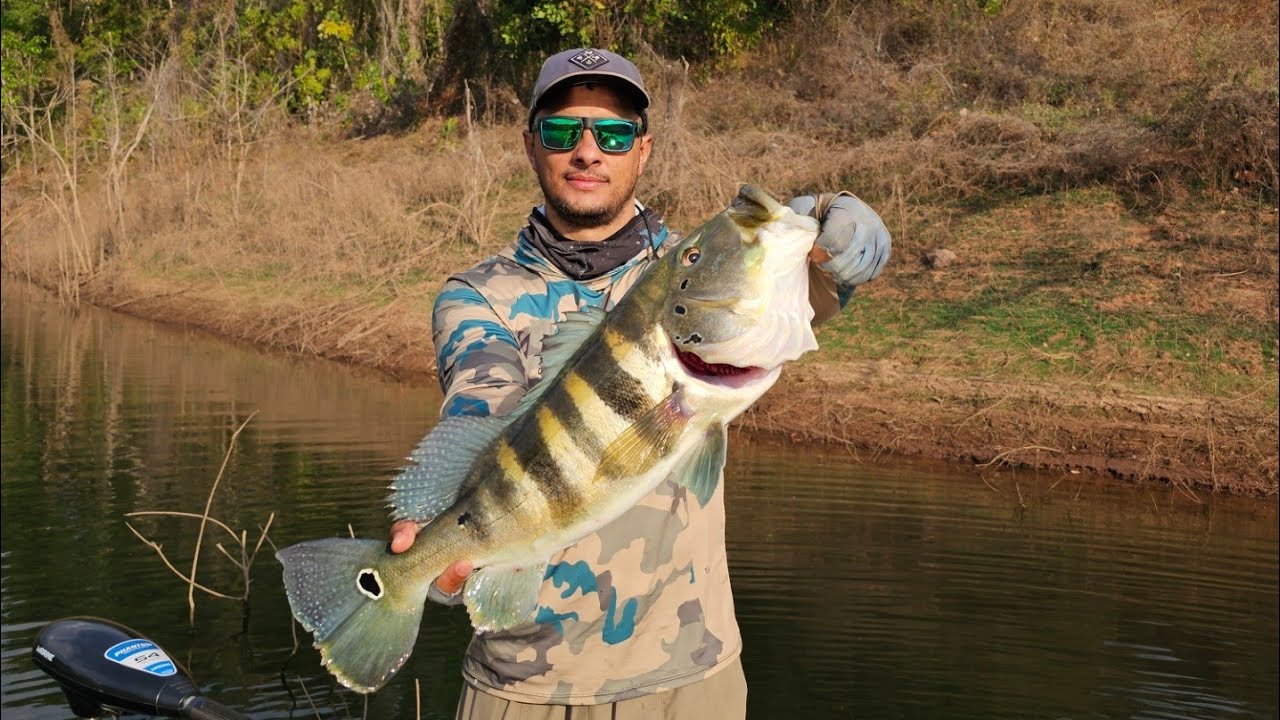 MUITO PEIXE GRANDE NA PESCARIA - SERRA DA MESA