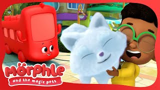Morphle The Bus | Magic Stories and Adventures for Kids | Available on Disney+ and Disney Jr by Moonbug Kids - Stories and Adventures 13,417 views 4 weeks ago 7 minutes, 7 seconds