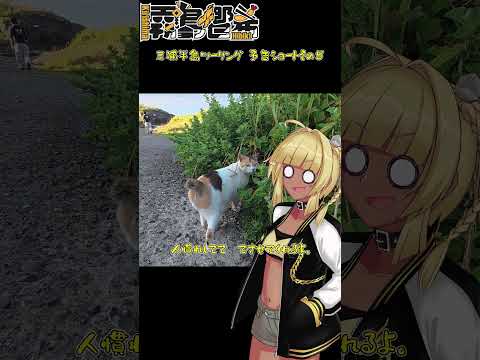 【CL250】三浦半島 朝市ツーリング！ 予告編その5【VOICEROID車載 Vtuber】