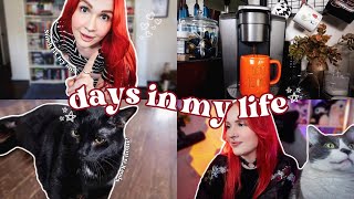 VLOG | Emergency Vet Visit, Clothing Try-On &amp; Changing Things Up