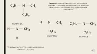 10 класс Амины