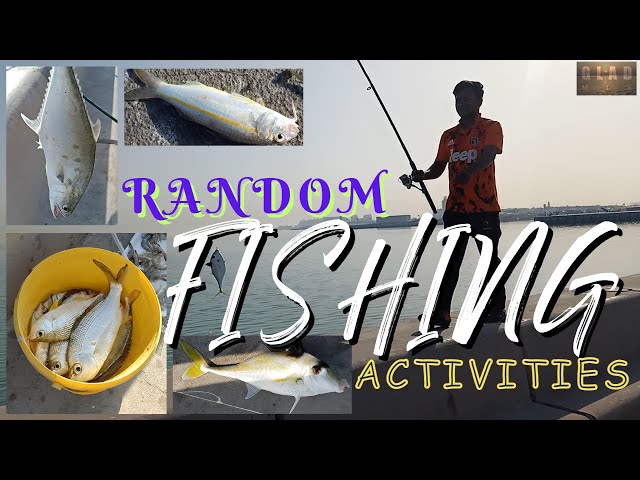 RANDOM FISHING ACTIVITIES AT CORNICHE DOHA 