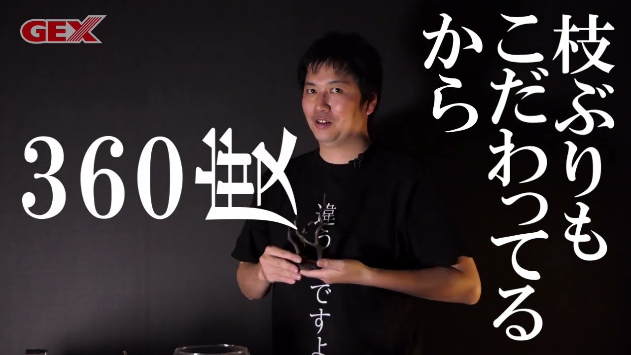 2023年NEW！癒し水景 ボトルウッドS/M/L リアルな水景づくりを簡単に