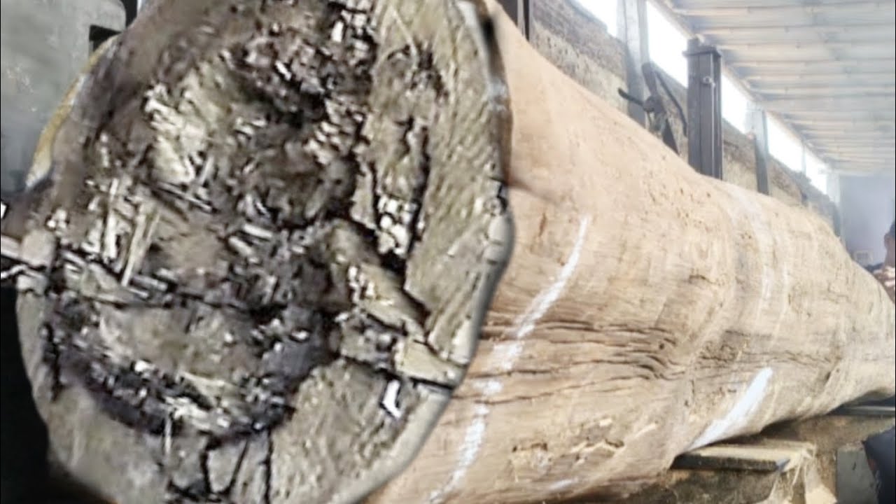 deadly, unexpected surprise when sawing junk wood at sawmill - YouTube