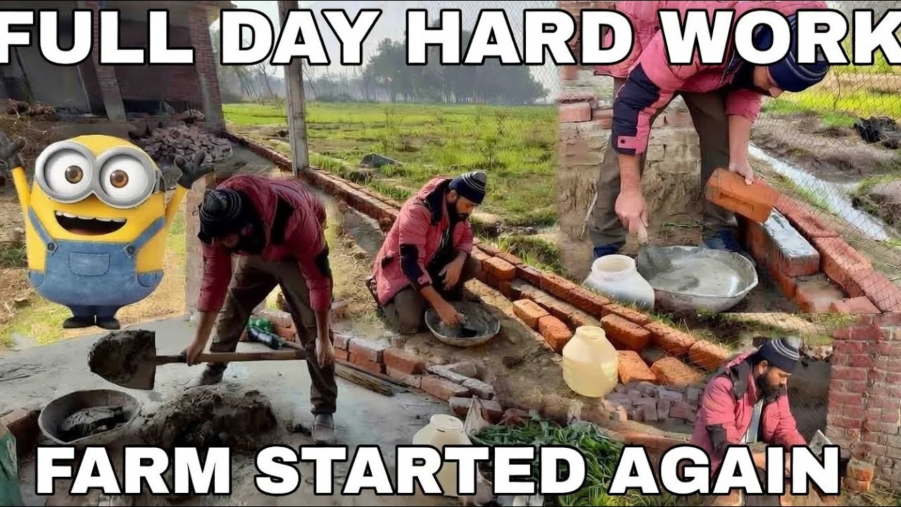 Working Whole Day as Construction Worker 💪 | Restarting My Chicken Farm | Mr Asad