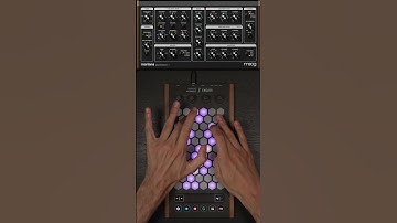 Exquis - @MoogSynthesizers Mariana "1984" #mpe #midi #controller #moog #pad #plugin #improvisation