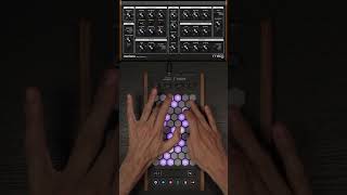 Exquis - @MoogSynthesizers Mariana "1984" #mpe #midi #controller #moog #pad #plugin #improvisation