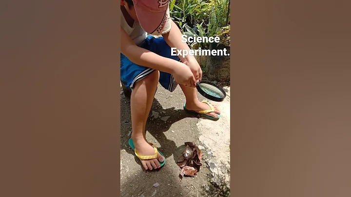 Starting a fire using dry leaves and a Magnifying Glass. Science Experiment at Home.