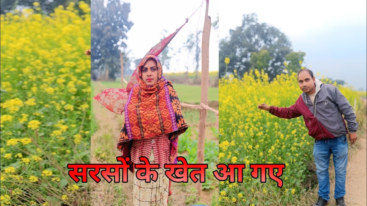 लग रहा इस बार सारी फसल ख़राब रहेंगी  