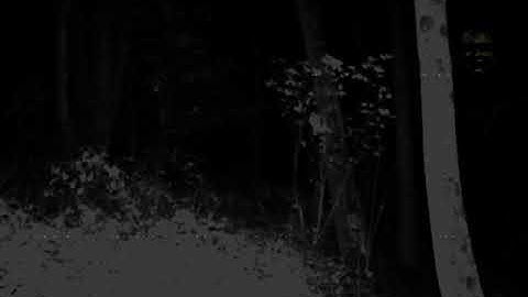 Camera n°1 recording 15/11/1987