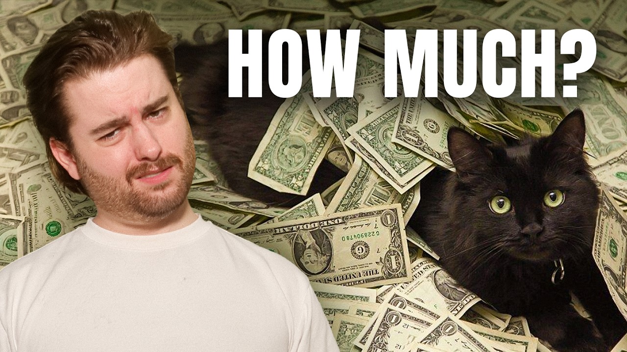 My cat is richer than you