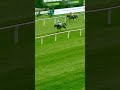 Relive the joy of Frodon jumping for fun in the Badger Beers! #horseracing #horses