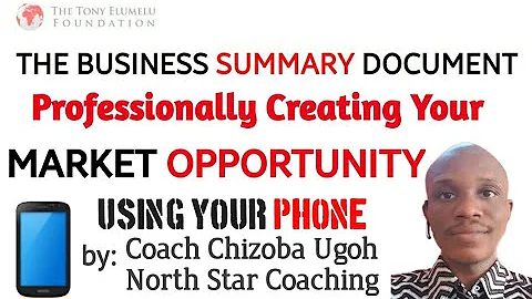 MARKET OPPORTUNITY - TEF 2022 BUSINESS PLAN SUMMARY DOCUMENT CREATION - Part 3