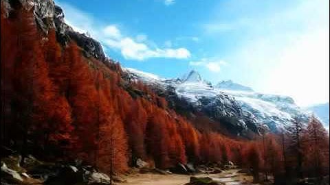 ما تيسر من سورة الانسان بصوت ميثم التمار تلاوة رائعة - اجمل التلاوات