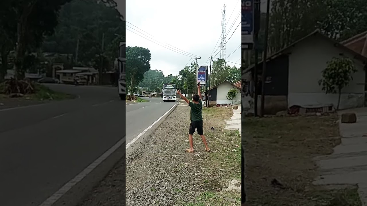 Basuri 🍓🥭🍎X Mengular Bus Omar Marita 🐍🐍