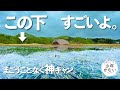 ありえないほど、神キャンプ。【ソロキャンプ】