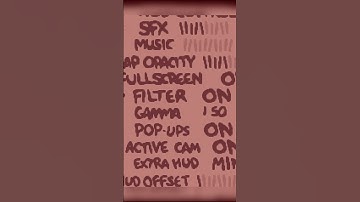 MUST HAVE Settings for The Binding of Isaac #gaming #isaac #bindingofisaac #twitch #hush #tainted