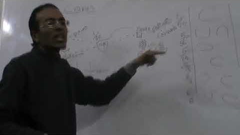 Visual acuity Dr Mohamed Fayez