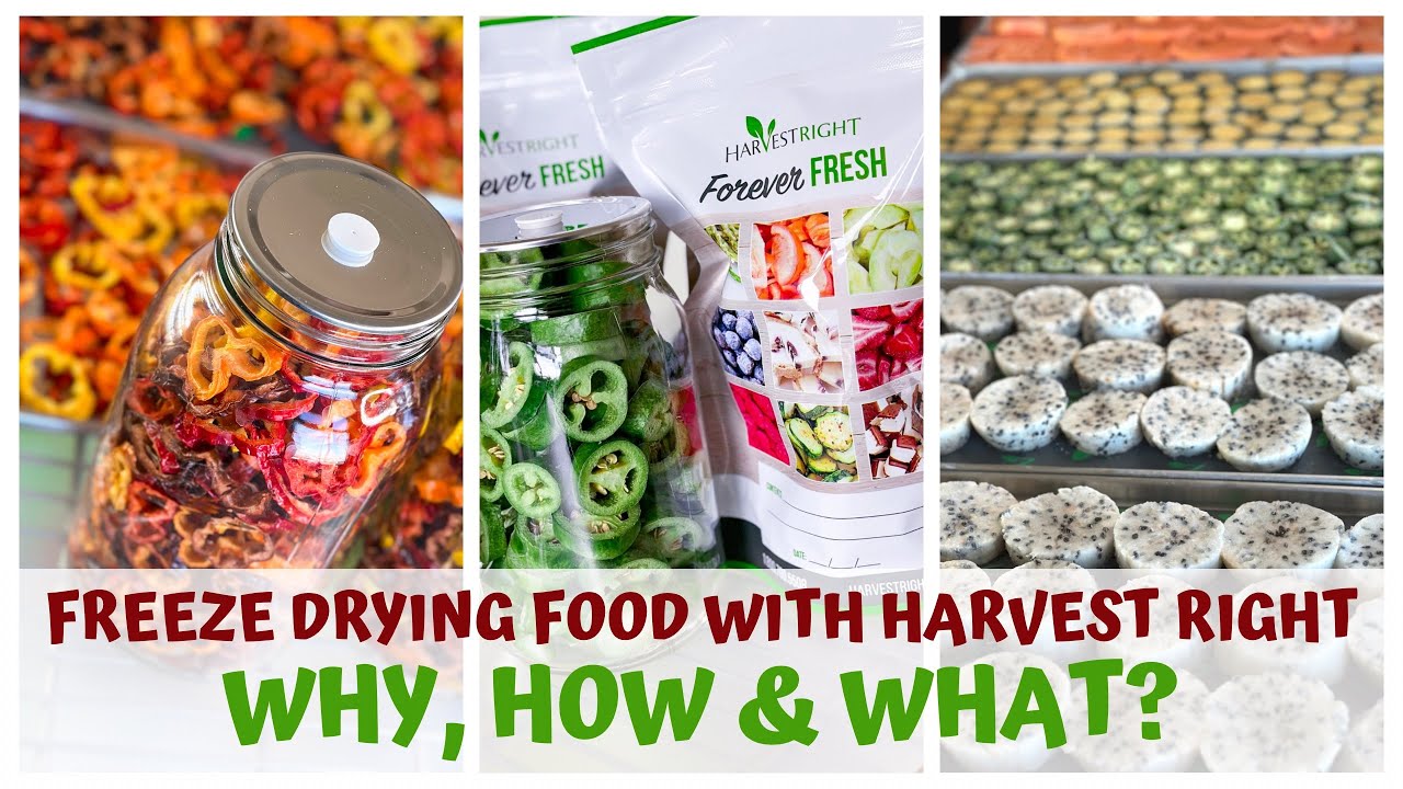 FREEZE DRYING RAW VEGAN FOOD with HARVEST RIGHT  WHY, HOW & WHAT?