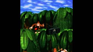 DK Country - #remix #lofi #nintendo #donkeykong