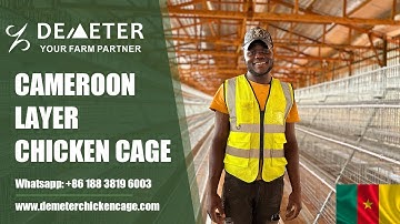 A type 4 Tier 5,000PCS Layer Battery Chicken Cage Poultry Farm Cage for Cameroon Africa #chickencage
