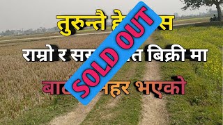 धेरै राम्रो र सस्तो खेत बिक्री मा | ghar jagga nepal | land for sale | sunsari | rajan rai