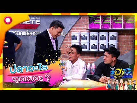 ปลาอะไรน่าตบ? ตอบกันให้ดีๆนะผมไม่เกี่ยว 5555 | บริษัทฮาไม่จำกัด (มหาชน)